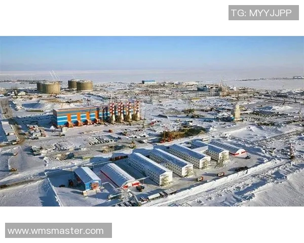 亚马尔地区的能源开发与国际合作前景分析及其对全球市场的影响