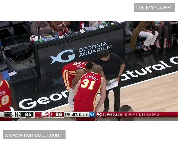 2021年NBA季后赛篮网与老鹰精彩对决回顾与分析