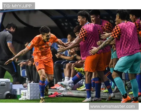 2016年河南建业与山东鲁能精彩对决回顾及赛季表现分析 2016年河南建业与山东鲁能精彩对决回顾及赛季表现分析