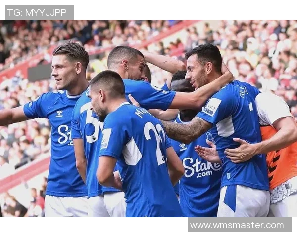 埃弗顿对阵热刺精彩视频直播全程回顾与赛后分析 埃弗顿对阵热刺精彩视频直播全程回顾与赛后分析