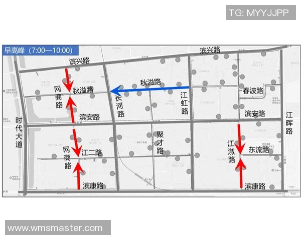 杭州飞盘队进攻革新之路探索与实践分析