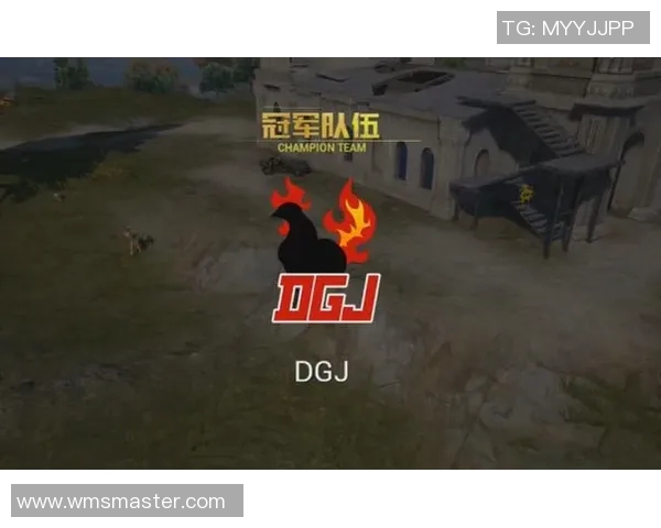 和平精英战术解析RNG战队的阵地战体系与策略探讨