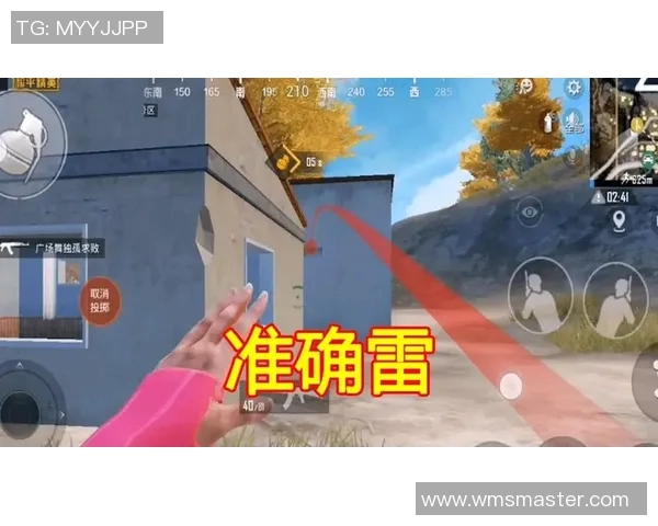 与赵丽畅谈和平精英的成长历程与未来展望