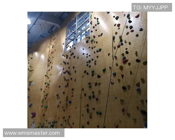 南京攀岩队意识形态争议引发热议探讨攀岩运动的未来发展方向