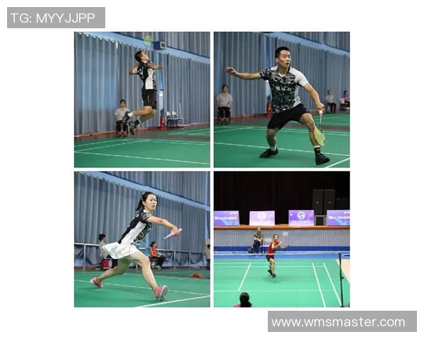 成都羽毛球队在世界锦标赛中的技术表现分析与点评